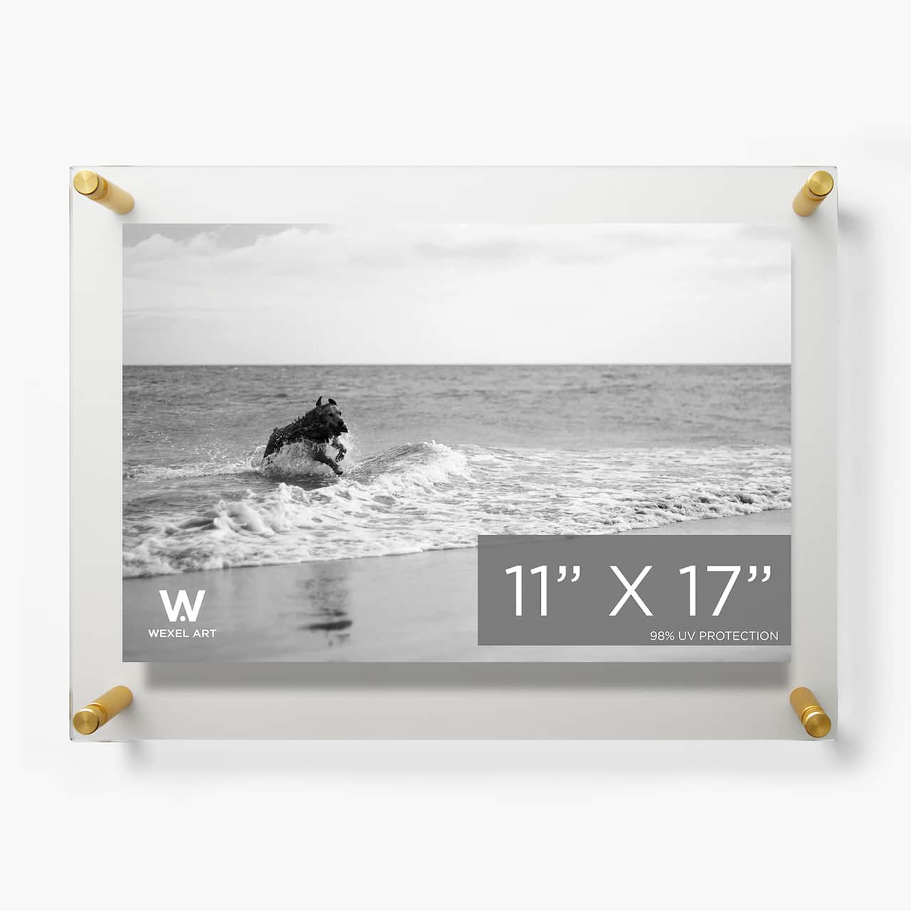 Wexel Art Double Panel Clear Acrylic Floating Wall Frame with Gold Hardware